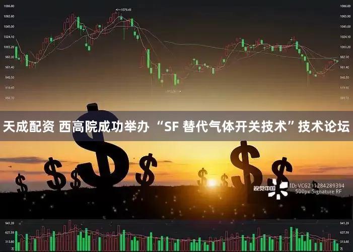 天成配资 西高院成功举办 “SF 替代气体开关技术”技术论坛