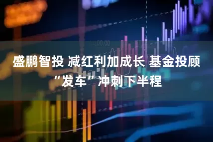 盛鹏智投 减红利加成长 基金投顾“发车”冲刺下半程