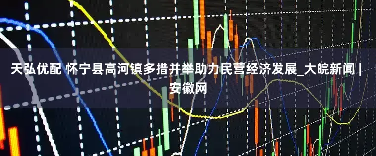 天弘优配 怀宁县高河镇多措并举助力民营经济发展_大皖新闻 | 安徽网