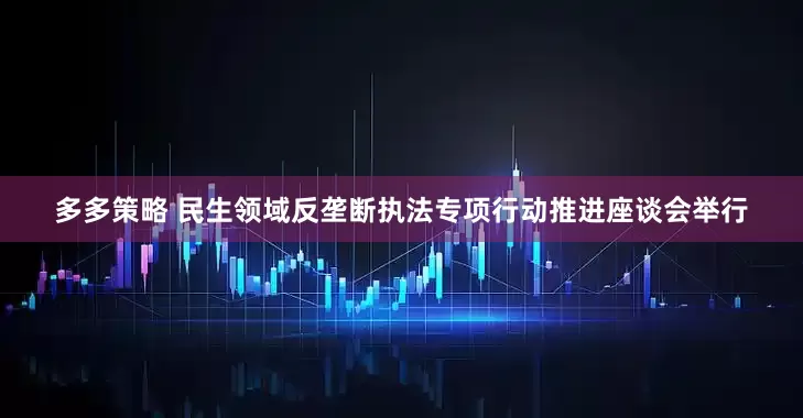 多多策略 民生领域反垄断执法专项行动推进座谈会举行